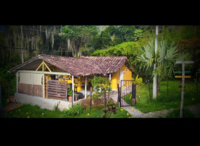 Magic House In The Magic Woodland - Envigado Medellin